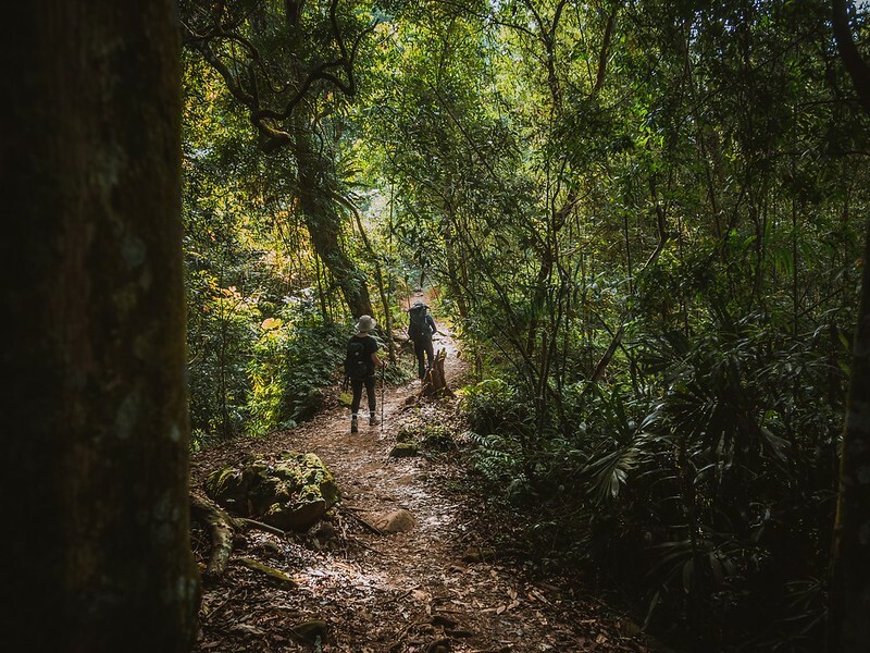 20221029|苗栗馬拉邦山|馬拉邦山登山步道x台灣小百岳x賞雲海、賞楓紅 20221029|苗栗馬拉邦山|馬拉邦山登山步道x台灣小百岳x賞雲海、賞楓紅