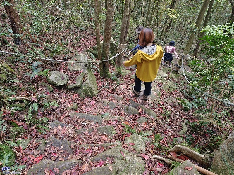 2024年,當然就是要登上海拔2024的橫嶺山呀!橫嶺山步道,超親民,難度僅2顆星 2024年,當然就是要登上海拔2024的橫嶺山呀!橫嶺山步道,超親民,難度僅2顆星
