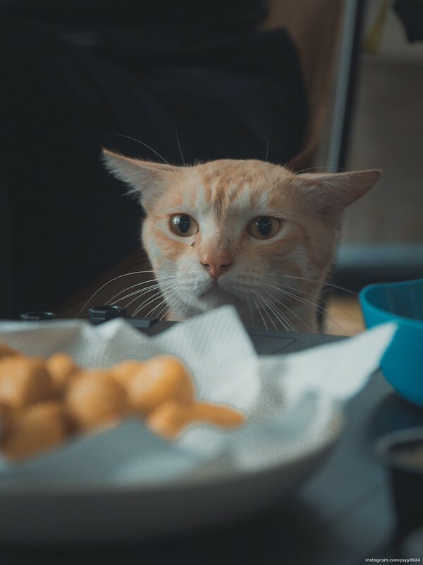 野營中|2023513神山露營 photo by instagram.com/joyy0924