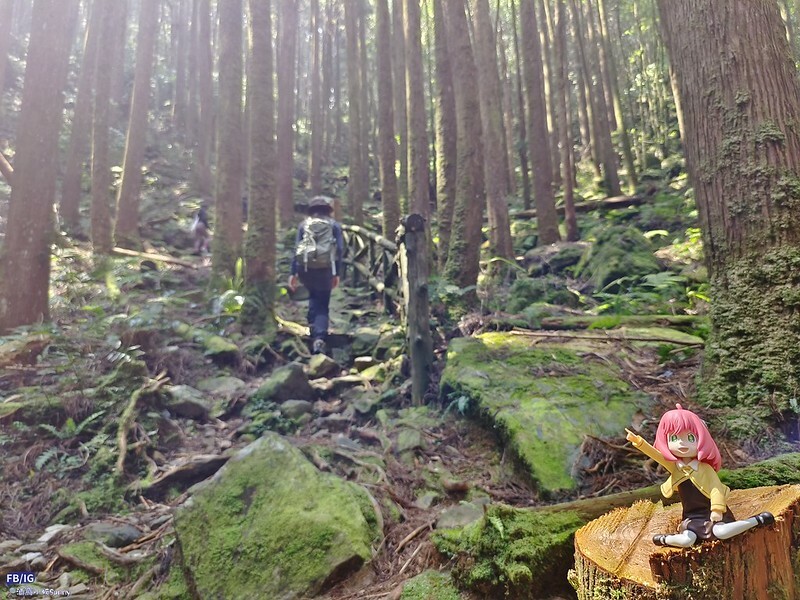 2024年,當然就是要登上海拔2024的橫嶺山呀!橫嶺山步道,超親民,難度僅2顆星 2024年,當然就是要登上海拔2024的橫嶺山呀!橫嶺山步道,超親民,難度僅2顆星