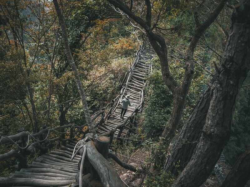 20221112 台中大坑4號步道