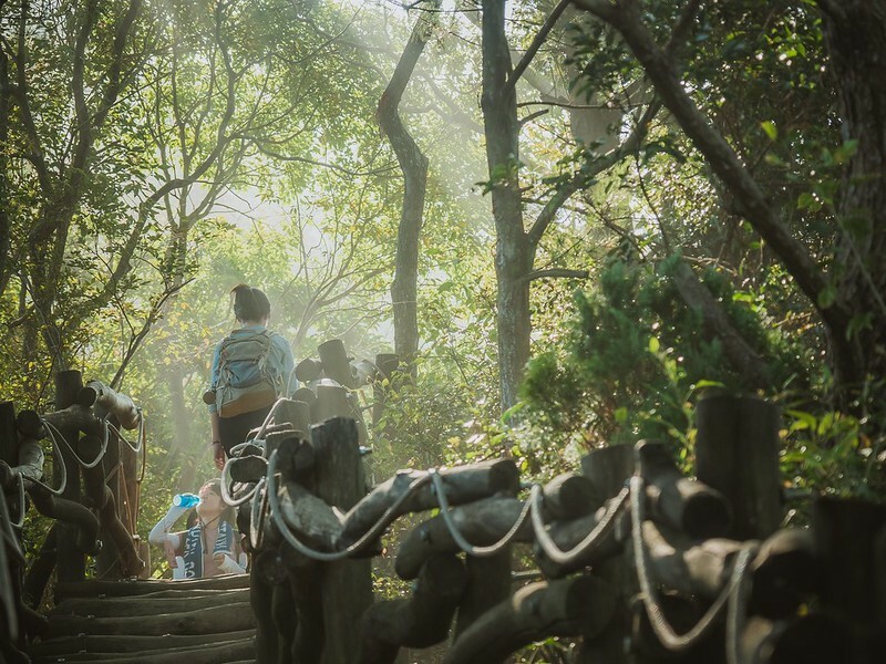 20221112 台中大坑4號步道