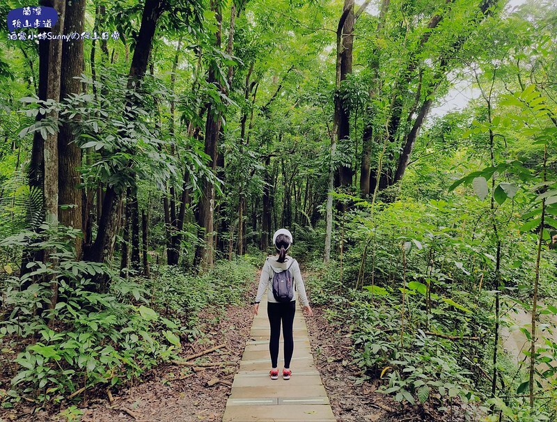 蘭潭後山步道、紅毛埤山