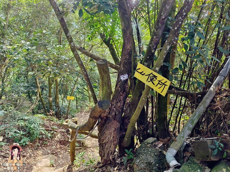 20221112 台中大坑4號步道