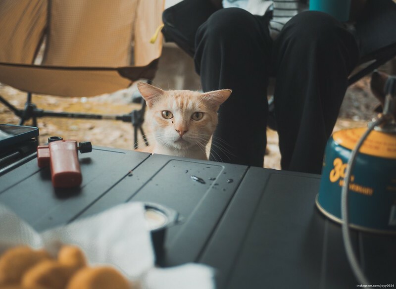 野營中|2023513神山露營 photo by instagram.com/joyy0924