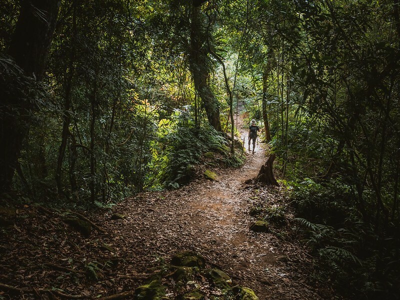 20221029|苗栗馬拉邦山|馬拉邦山登山步道x台灣小百岳x賞雲海、賞楓紅 20221029|苗栗馬拉邦山|馬拉邦山登山步道x台灣小百岳x賞雲海、賞楓紅