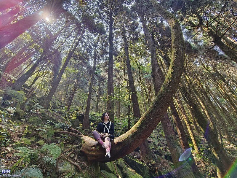 2024年,當然就是要登上海拔2024的橫嶺山呀!橫嶺山步道,超親民,難度僅2顆星 2024年,當然就是要登上海拔2024的橫嶺山呀!橫嶺山步道,超親民,難度僅2顆星