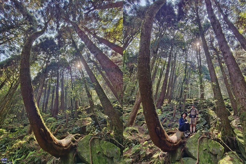 2024年,當然就是要登上海拔2024的橫嶺山呀!橫嶺山步道,超親民,難度僅2顆星 2024年,當然就是要登上海拔2024的橫嶺山呀!橫嶺山步道,超親民,難度僅2顆星