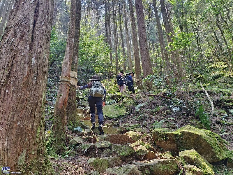 2024年,當然就是要登上海拔2024的橫嶺山呀!橫嶺山步道,超親民,難度僅2顆星 2024年,當然就是要登上海拔2024的橫嶺山呀!橫嶺山步道,超親民,難度僅2顆星