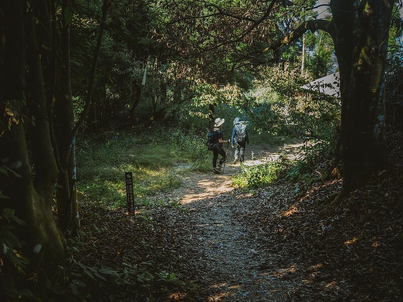 20221029|苗栗馬拉邦山|馬拉邦山登山步道x台灣小百岳x賞雲海、賞楓紅 20221029|苗栗馬拉邦山|馬拉邦山登山步道x台灣小百岳x賞雲海、賞楓紅