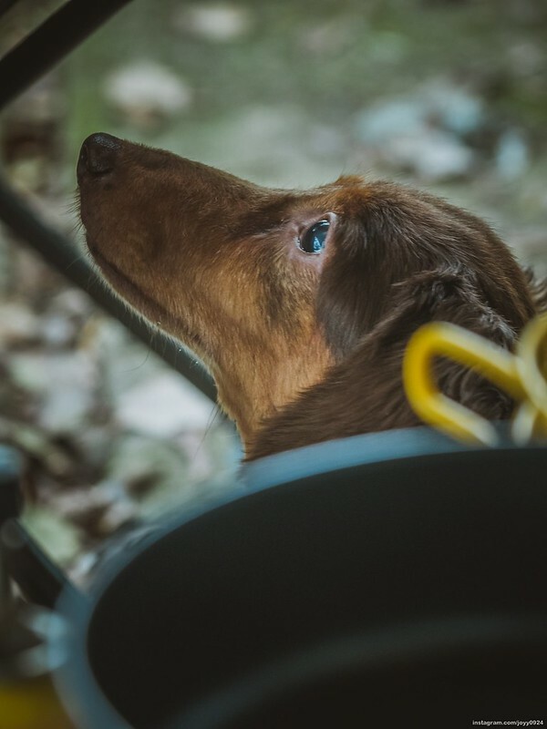 野營中|2023513神山露營 photo by instagram.com/joyy0924