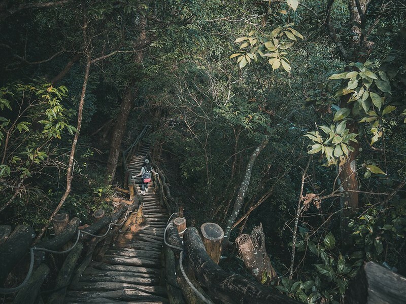 20221112 台中大坑4號步道