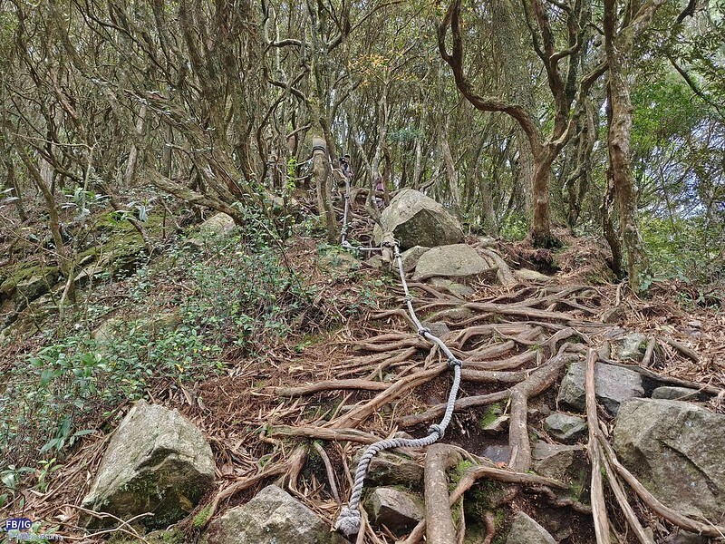 2024年,當然就是要登上海拔2024的橫嶺山呀!橫嶺山步道,超親民,難度僅2顆星 2024年,當然就是要登上海拔2024的橫嶺山呀!橫嶺山步道,超親民,難度僅2顆星