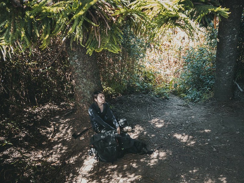 20221029|苗栗馬拉邦山|馬拉邦山登山步道x台灣小百岳x賞雲海、賞楓紅 20221029|苗栗馬拉邦山|馬拉邦山登山步道x台灣小百岳x賞雲海、賞楓紅