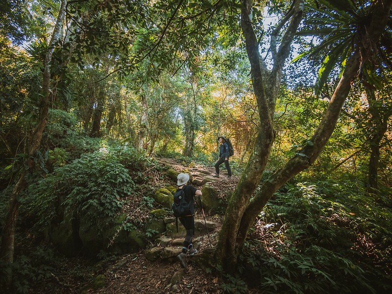 20221029|苗栗馬拉邦山|馬拉邦山登山步道x台灣小百岳x賞雲海、賞楓紅 20221029|苗栗馬拉邦山|馬拉邦山登山步道x台灣小百岳x賞雲海、賞楓紅