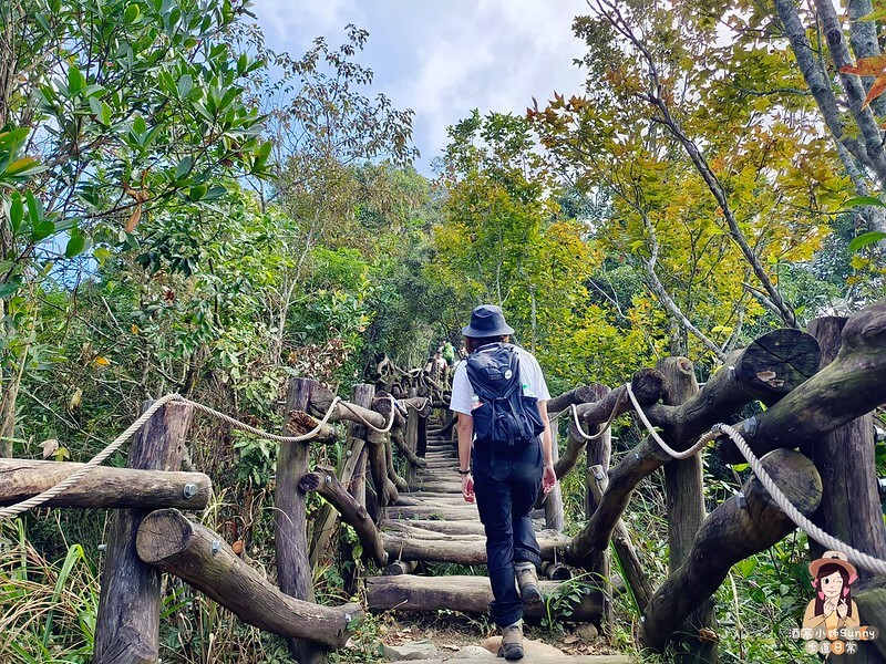 20221112 台中大坑4號步道