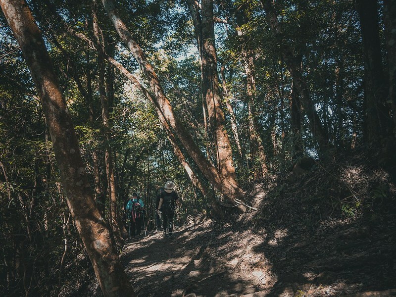 20221029|苗栗馬拉邦山|馬拉邦山登山步道x台灣小百岳x賞雲海、賞楓紅 20221029|苗栗馬拉邦山|馬拉邦山登山步道x台灣小百岳x賞雲海、賞楓紅
