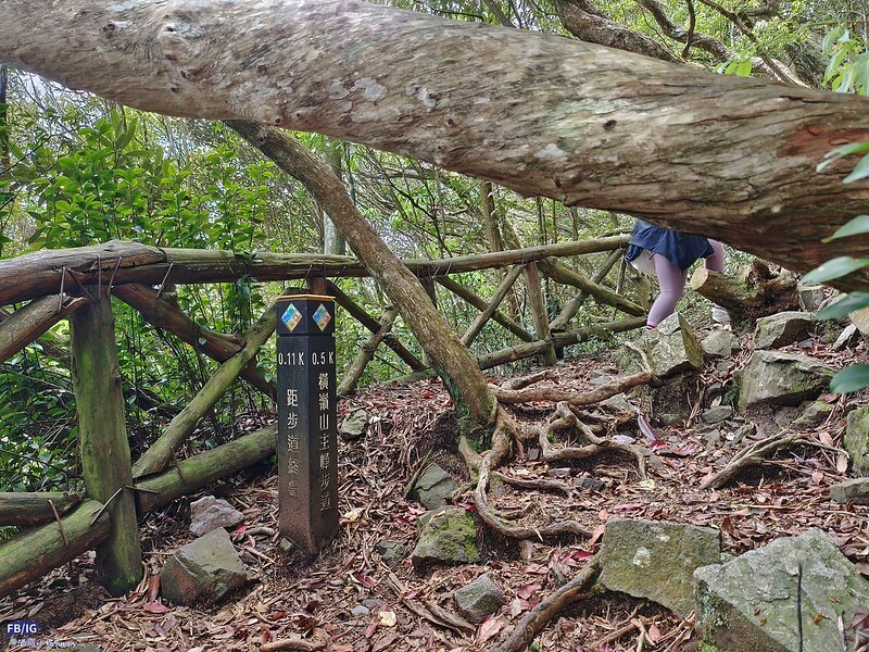 2024年,當然就是要登上海拔2024的橫嶺山呀!橫嶺山步道,超親民,難度僅2顆星 2024年,當然就是要登上海拔2024的橫嶺山呀!橫嶺山步道,超親民,難度僅2顆星