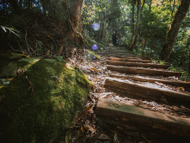 20221029|苗栗馬拉邦山|馬拉邦山登山步道x台灣小百岳x賞雲海、賞楓紅 20221029|苗栗馬拉邦山|馬拉邦山登山步道x台灣小百岳x賞雲海、賞楓紅