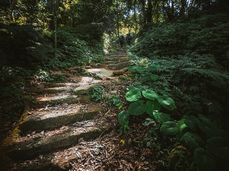 20221029|苗栗馬拉邦山|馬拉邦山登山步道x台灣小百岳x賞雲海、賞楓紅 20221029|苗栗馬拉邦山|馬拉邦山登山步道x台灣小百岳x賞雲海、賞楓紅