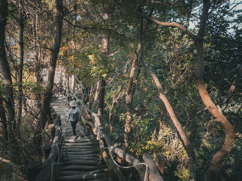 20221112 台中大坑4號步道