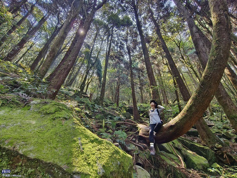2024年,當然就是要登上海拔2024的橫嶺山呀!橫嶺山步道,超親民,難度僅2顆星 2024年,當然就是要登上海拔2024的橫嶺山呀!橫嶺山步道,超親民,難度僅2顆星