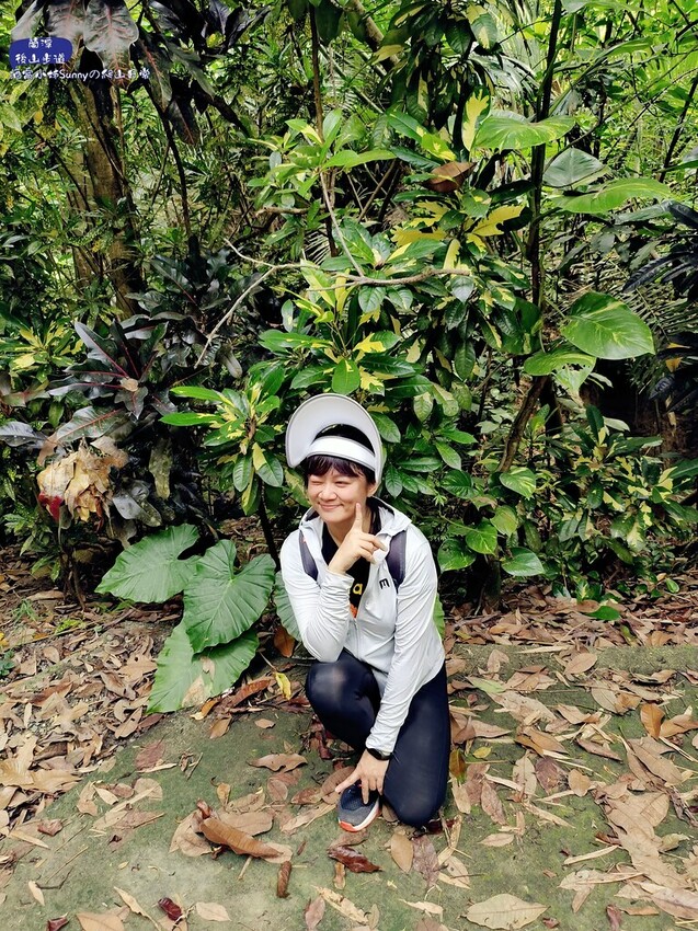 蘭潭後山步道、紅毛埤山