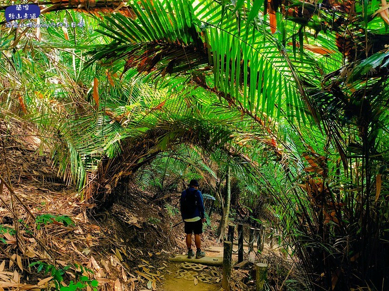 蘭潭後山步道、紅毛埤山