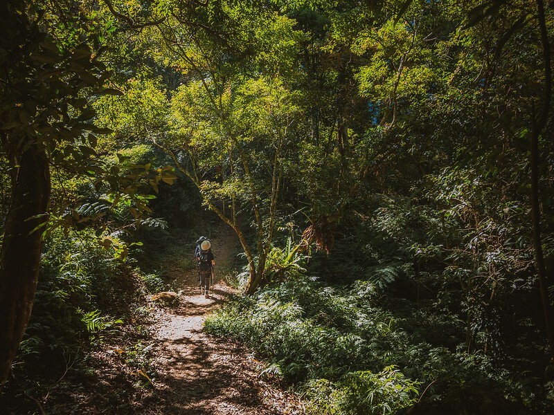 20221029|苗栗馬拉邦山|馬拉邦山登山步道x台灣小百岳x賞雲海、賞楓紅 20221029|苗栗馬拉邦山|馬拉邦山登山步道x台灣小百岳x賞雲海、賞楓紅