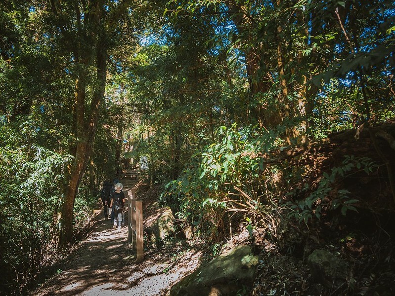 20221029|苗栗馬拉邦山|馬拉邦山登山步道x台灣小百岳x賞雲海、賞楓紅 20221029|苗栗馬拉邦山|馬拉邦山登山步道x台灣小百岳x賞雲海、賞楓紅