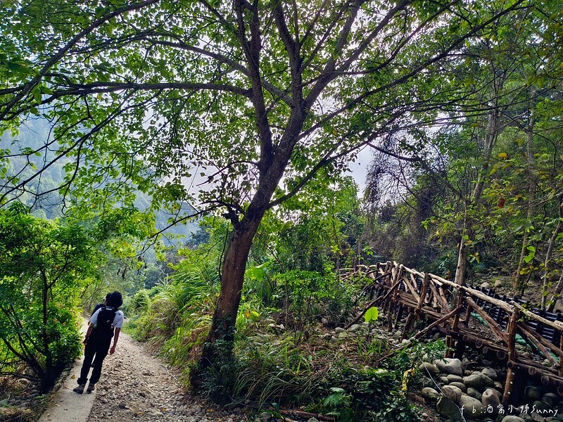 20221112 台中大坑4號步道