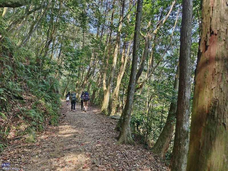 2024年,當然就是要登上海拔2024的橫嶺山呀!橫嶺山步道,超親民,難度僅2顆星 2024年,當然就是要登上海拔2024的橫嶺山呀!橫嶺山步道,超親民,難度僅2顆星