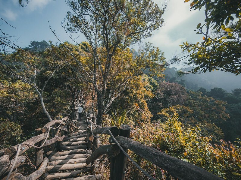 20221112 台中大坑4號步道