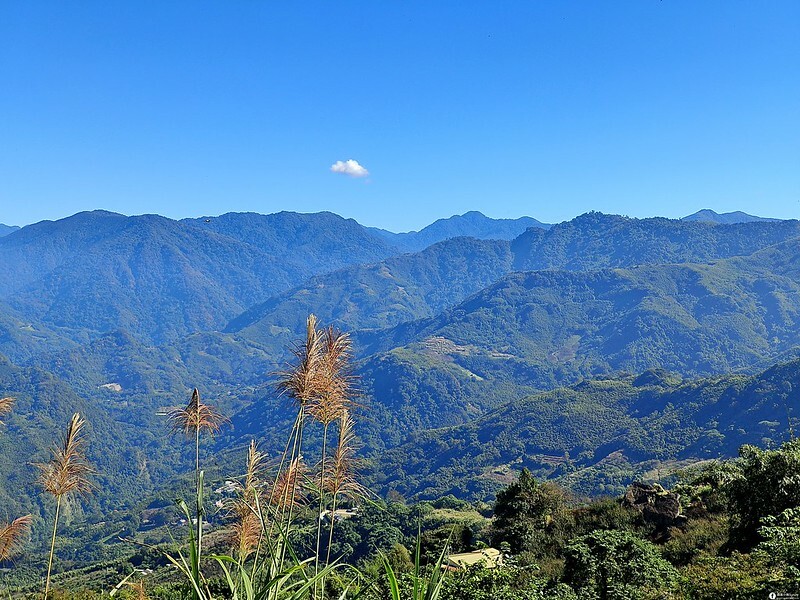 20221029|苗栗馬拉邦山|馬拉邦山登山步道x台灣小百岳x賞雲海、賞楓紅 20221029|苗栗馬拉邦山|馬拉邦山登山步道x台灣小百岳x賞雲海、賞楓紅