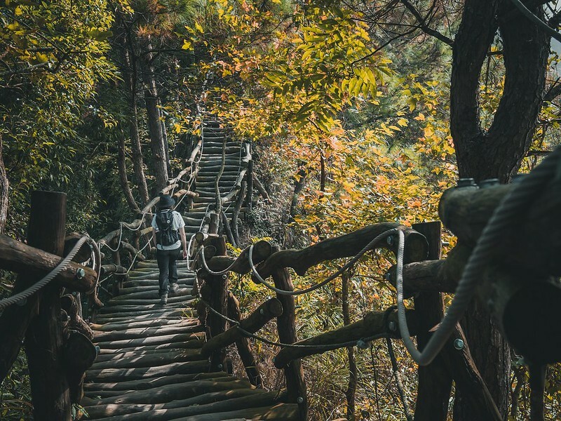 20221112 台中大坑4號步道