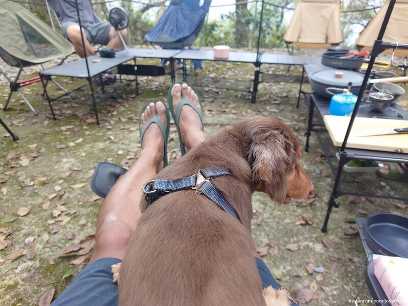 野營中|2023513神山露營 photo by instagram.com/joyy0924