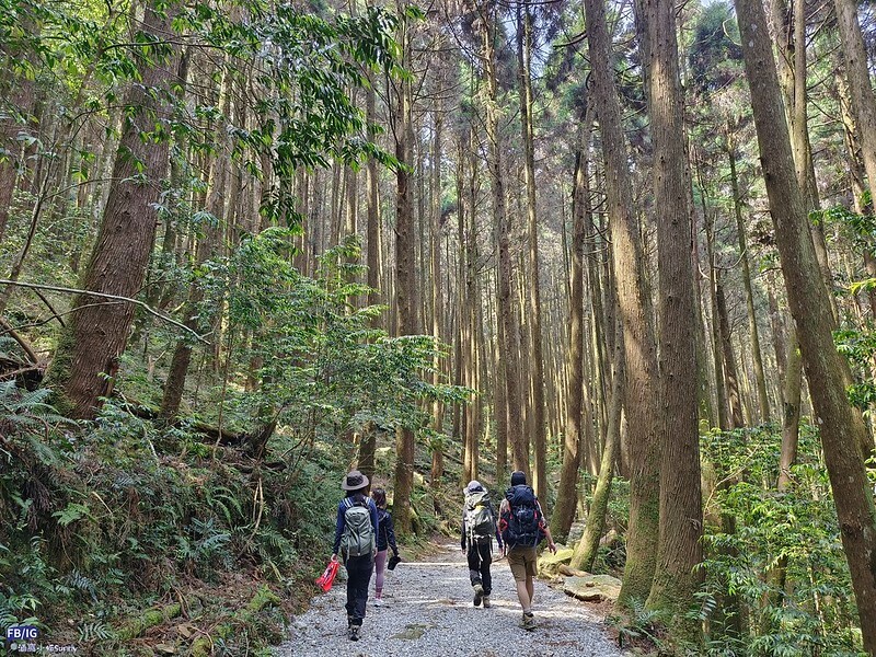 2024年,當然就是要登上海拔2024的橫嶺山呀!橫嶺山步道,超親民,難度僅2顆星 2024年,當然就是要登上海拔2024的橫嶺山呀!橫嶺山步道,超親民,難度僅2顆星