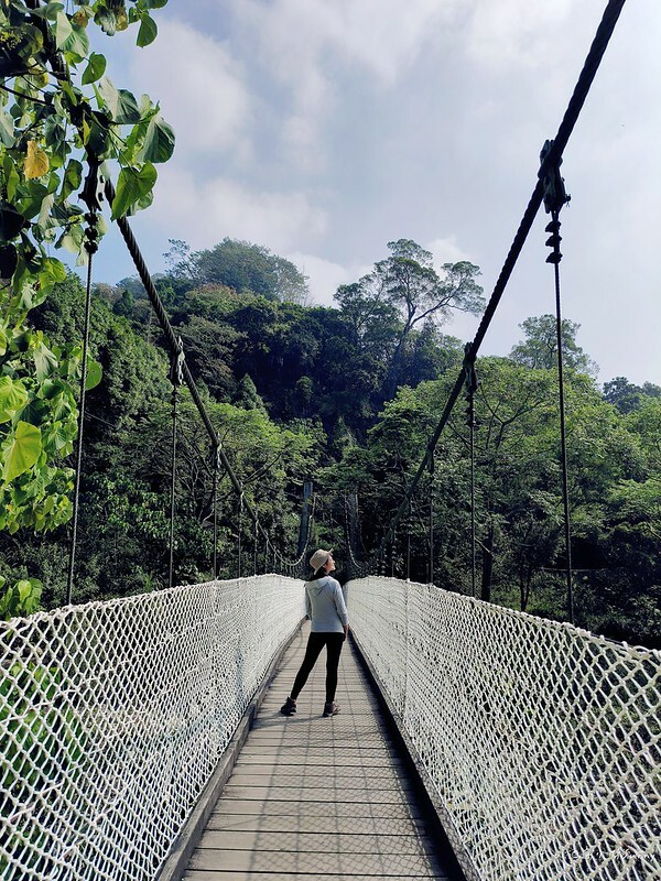 20221112 台中大坑4號步道