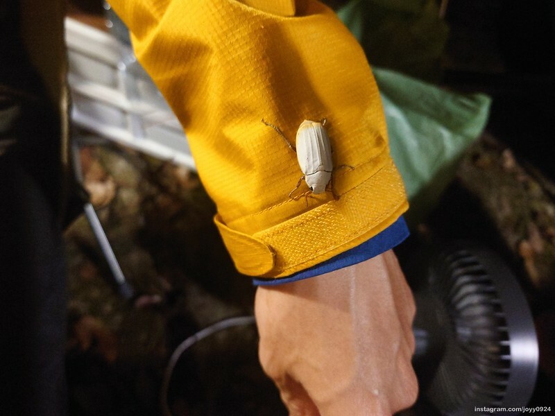 野營中|2023513神山露營 photo by instagram.com/joyy0924