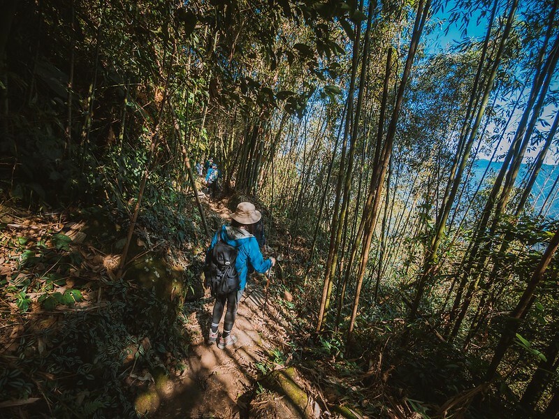 20221029|苗栗馬拉邦山|馬拉邦山登山步道x台灣小百岳x賞雲海、賞楓紅 20221029|苗栗馬拉邦山|馬拉邦山登山步道x台灣小百岳x賞雲海、賞楓紅