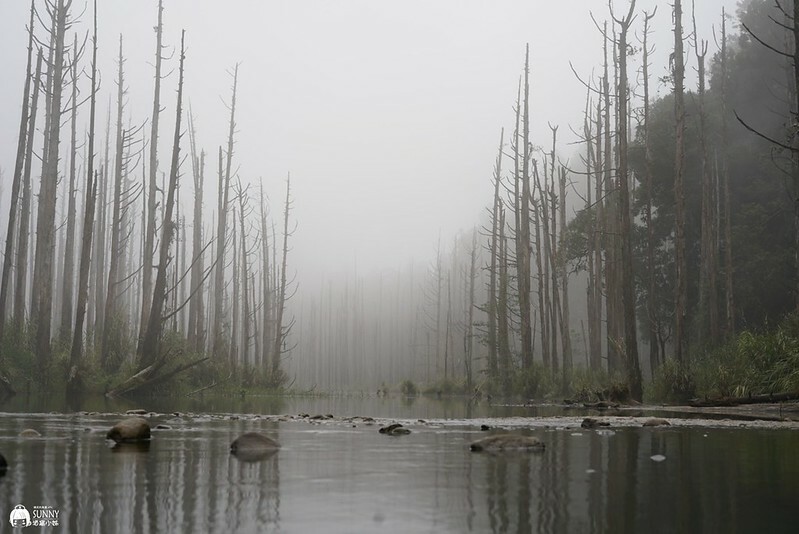 LINE_ALBUM_110.11.13-14水漾森林I_211115_291