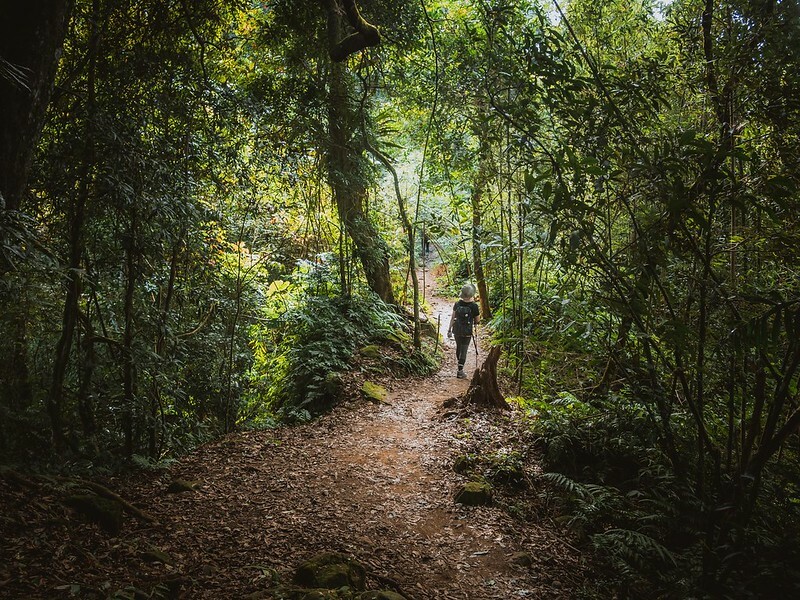20221029|苗栗馬拉邦山|馬拉邦山登山步道x台灣小百岳x賞雲海、賞楓紅 20221029|苗栗馬拉邦山|馬拉邦山登山步道x台灣小百岳x賞雲海、賞楓紅