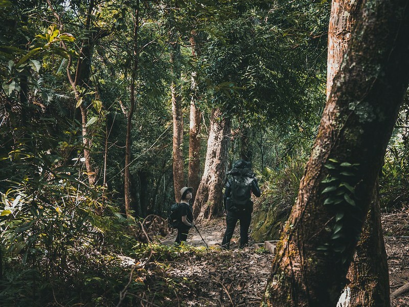 20221029|苗栗馬拉邦山|馬拉邦山登山步道x台灣小百岳x賞雲海、賞楓紅 20221029|苗栗馬拉邦山|馬拉邦山登山步道x台灣小百岳x賞雲海、賞楓紅