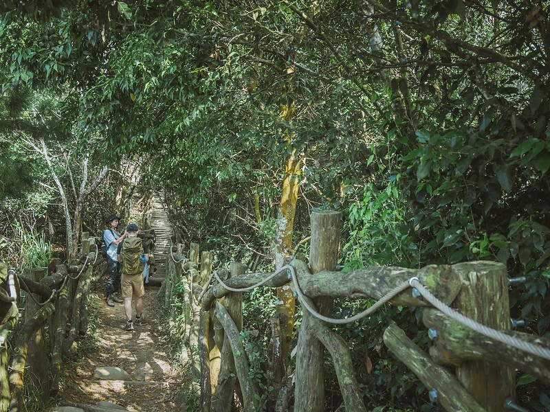 20221112 台中大坑4號步道