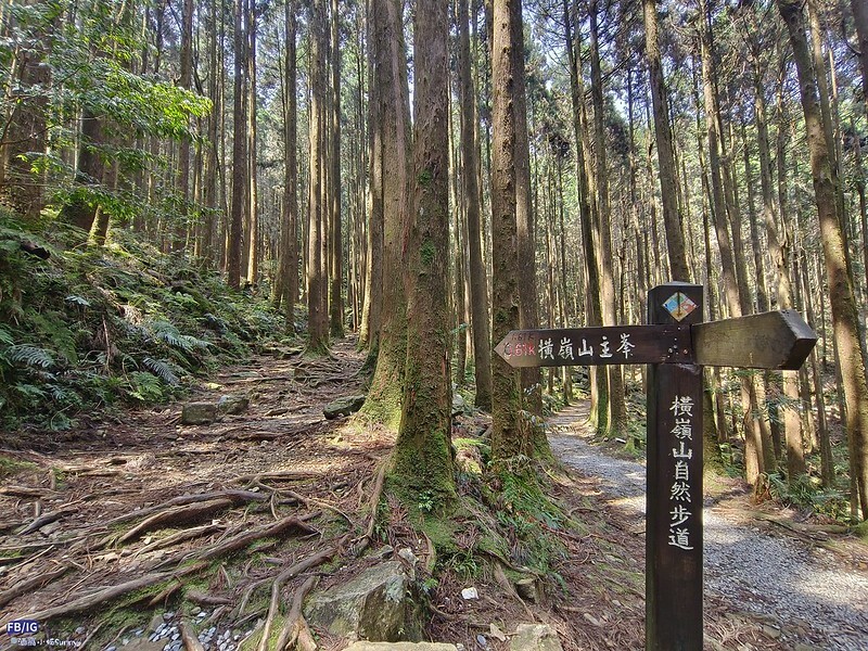 2024年,當然就是要登上海拔2024的橫嶺山呀!橫嶺山步道,超親民,難度僅2顆星 2024年,當然就是要登上海拔2024的橫嶺山呀!橫嶺山步道,超親民,難度僅2顆星