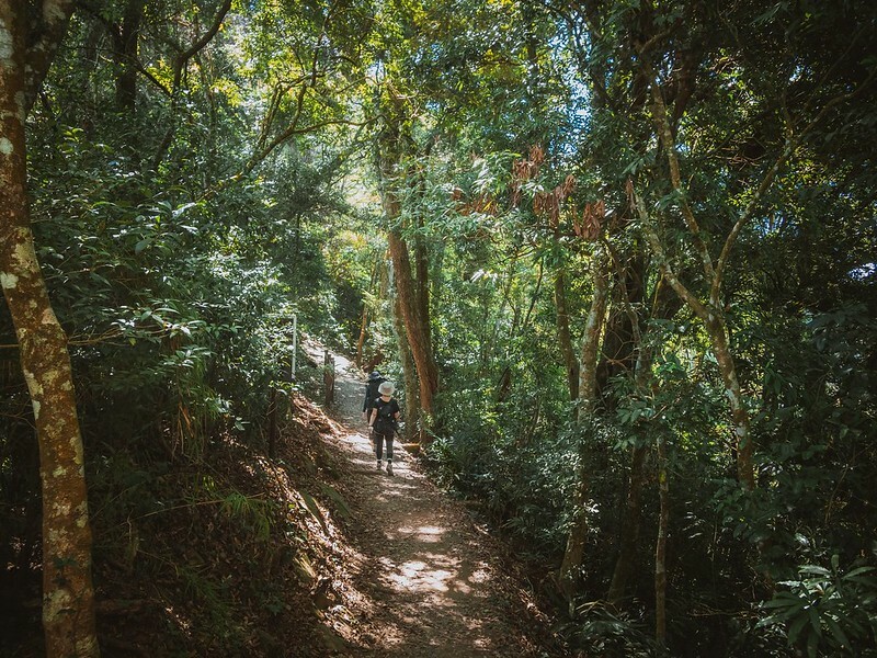 20221029|苗栗馬拉邦山|馬拉邦山登山步道x台灣小百岳x賞雲海、賞楓紅 20221029|苗栗馬拉邦山|馬拉邦山登山步道x台灣小百岳x賞雲海、賞楓紅