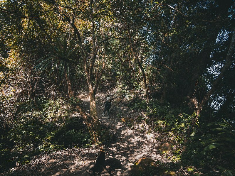 20221029|苗栗馬拉邦山|馬拉邦山登山步道x台灣小百岳x賞雲海、賞楓紅 20221029|苗栗馬拉邦山|馬拉邦山登山步道x台灣小百岳x賞雲海、賞楓紅