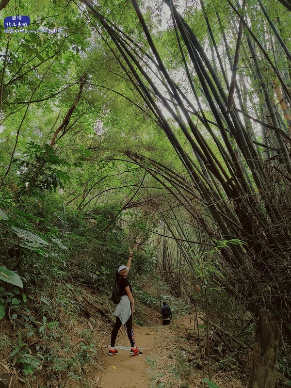 蘭潭後山步道、紅毛埤山