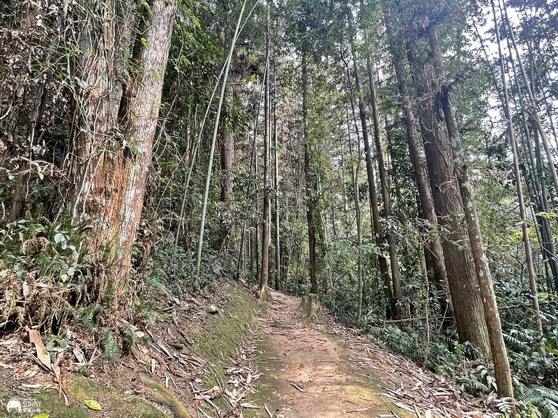 2021-03-31 14.44.17(1617596497.724663)