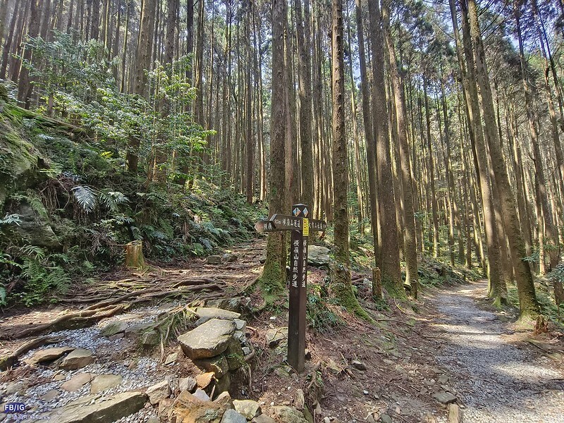 2024年,當然就是要登上海拔2024的橫嶺山呀!橫嶺山步道,超親民,難度僅2顆星 2024年,當然就是要登上海拔2024的橫嶺山呀!橫嶺山步道,超親民,難度僅2顆星